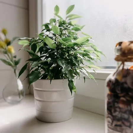Waldzeit *