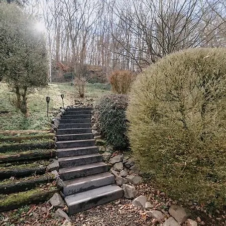 Waldzeit