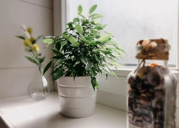 Waldzeit *
